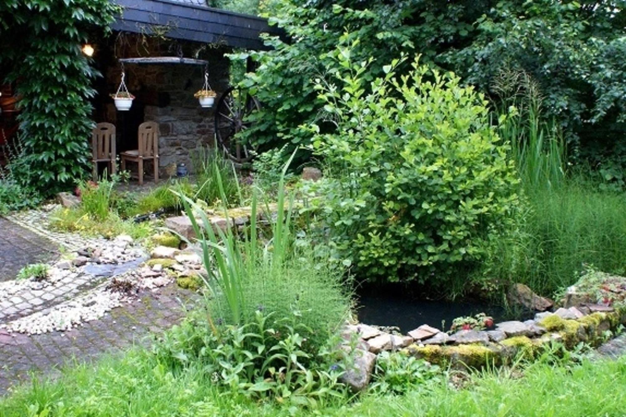 Haus "Zwischen Den Waeldern" Lägenhet Allenbach Exteriör bild